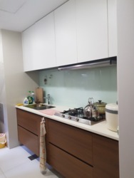 The Miltonia Residences (D27), Condominium #163028912